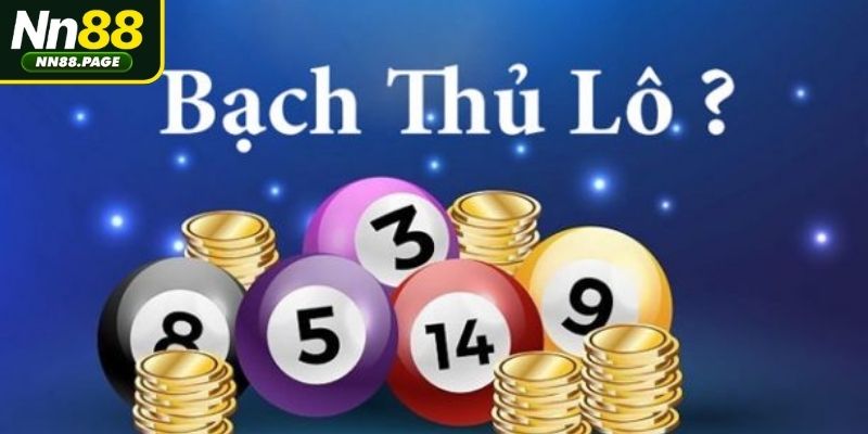 Bạch thủ lô là gì?