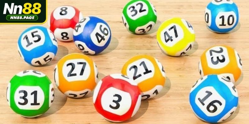 Kinh nghiệm quý báu từ cộng đồng về bí kíp nuôi lô hiệu quả
