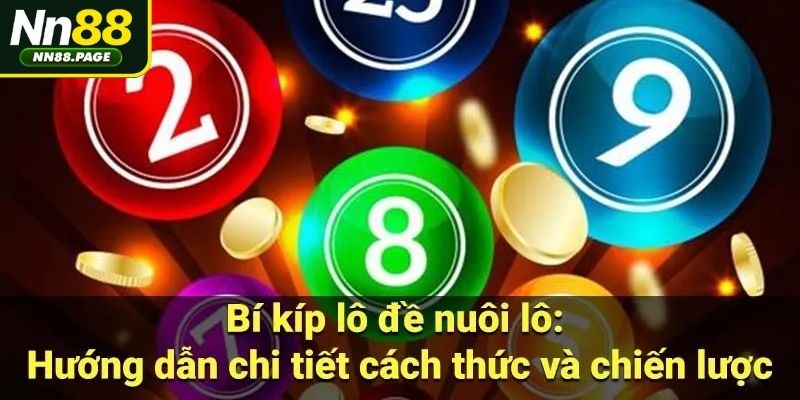 Sức hấp dẫn thực sự của bí quyết nuôi lô từ NN88